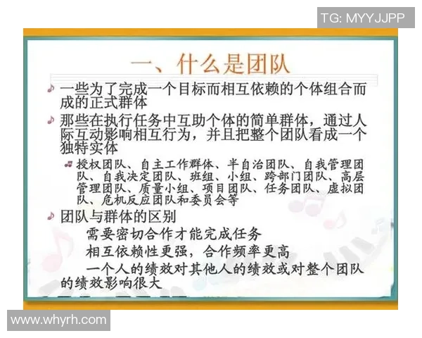 南京足球队在联赛中的团队协作表现分析与展望